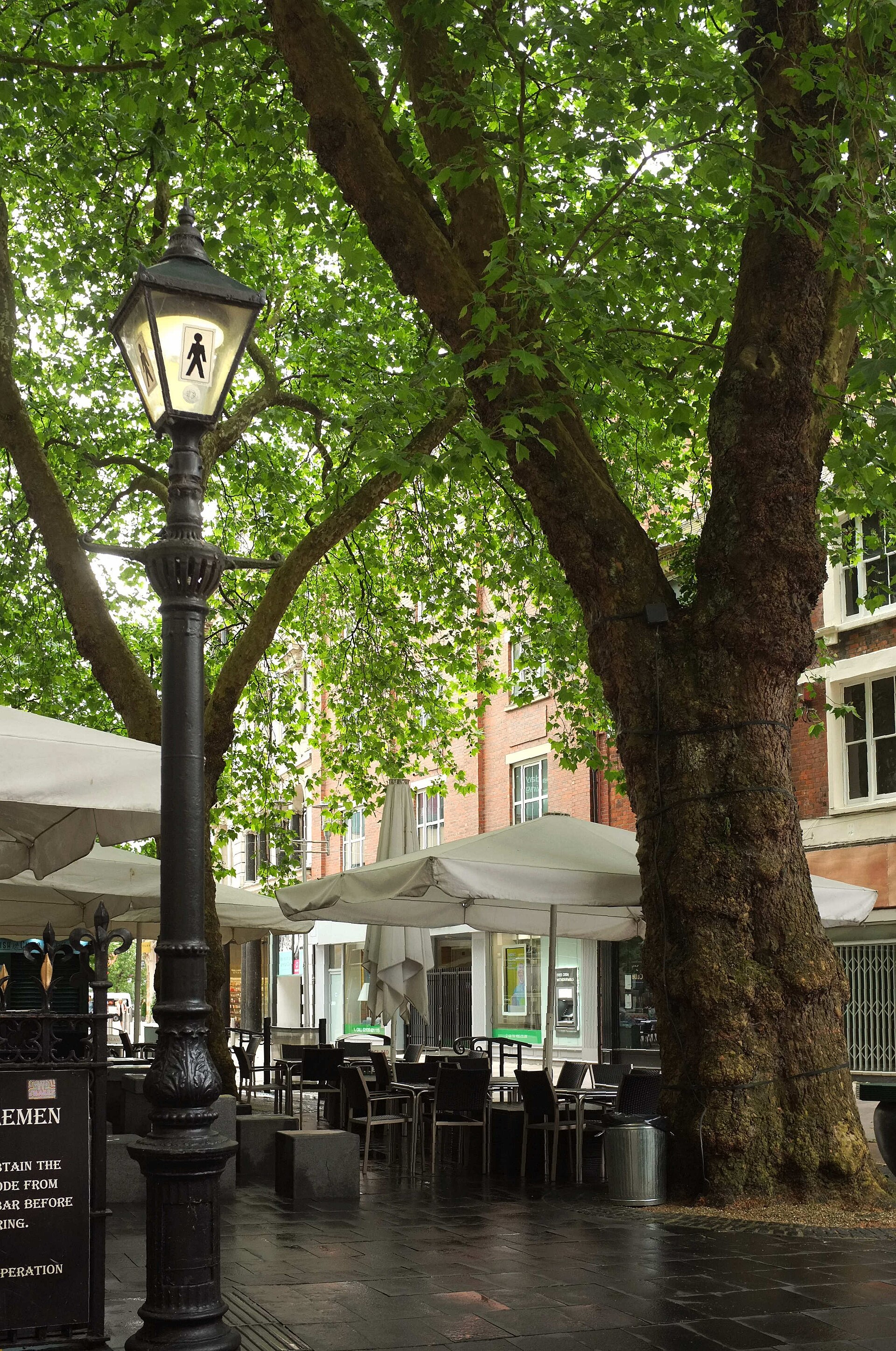 Tall plane trees and café umbrellas on Hayes Island in Cardiff city centre.