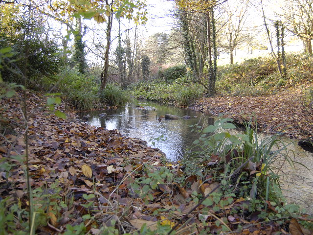 A stream among trees at the western edge of Fairwater Park.