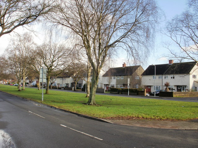 Cathedral View in Gabalfa, houses set back behind a tree-lined green.