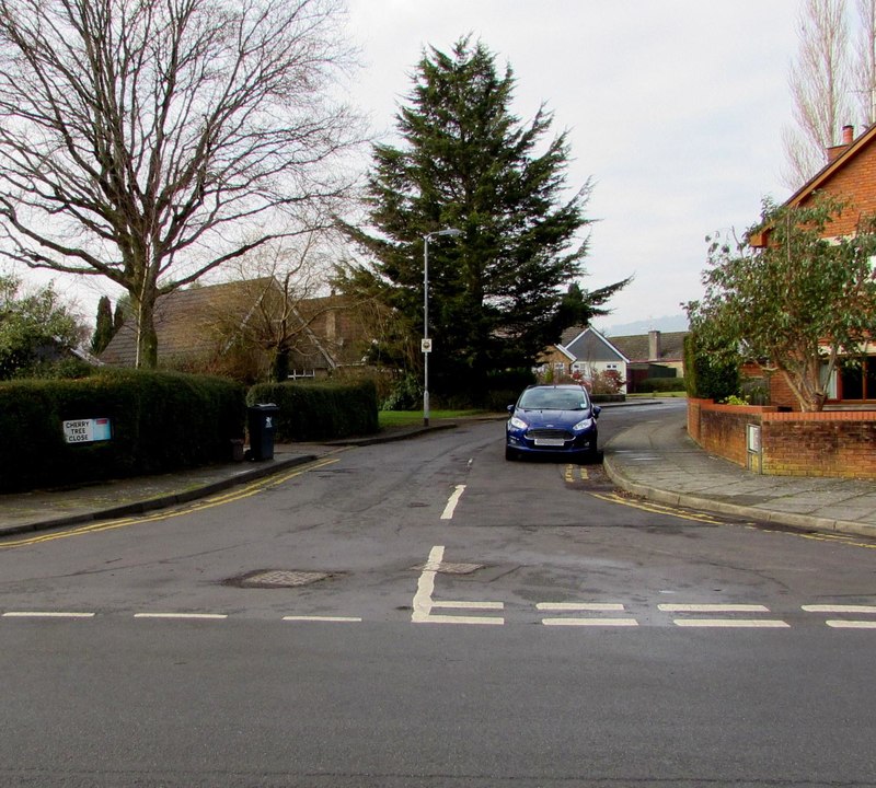 Cherry Tree Close in Lisvane, a residential road among mature trees.