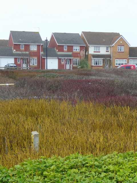 New red-brick houses at Pengam Green, seen across ornamental planting.