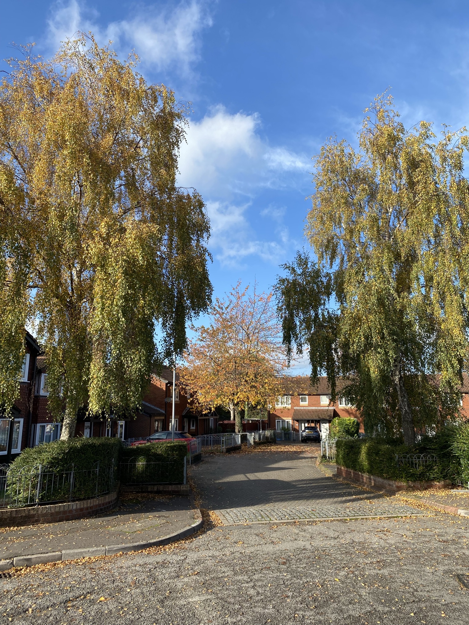 A tree-lined housing estate road in St Mellons in autumn.