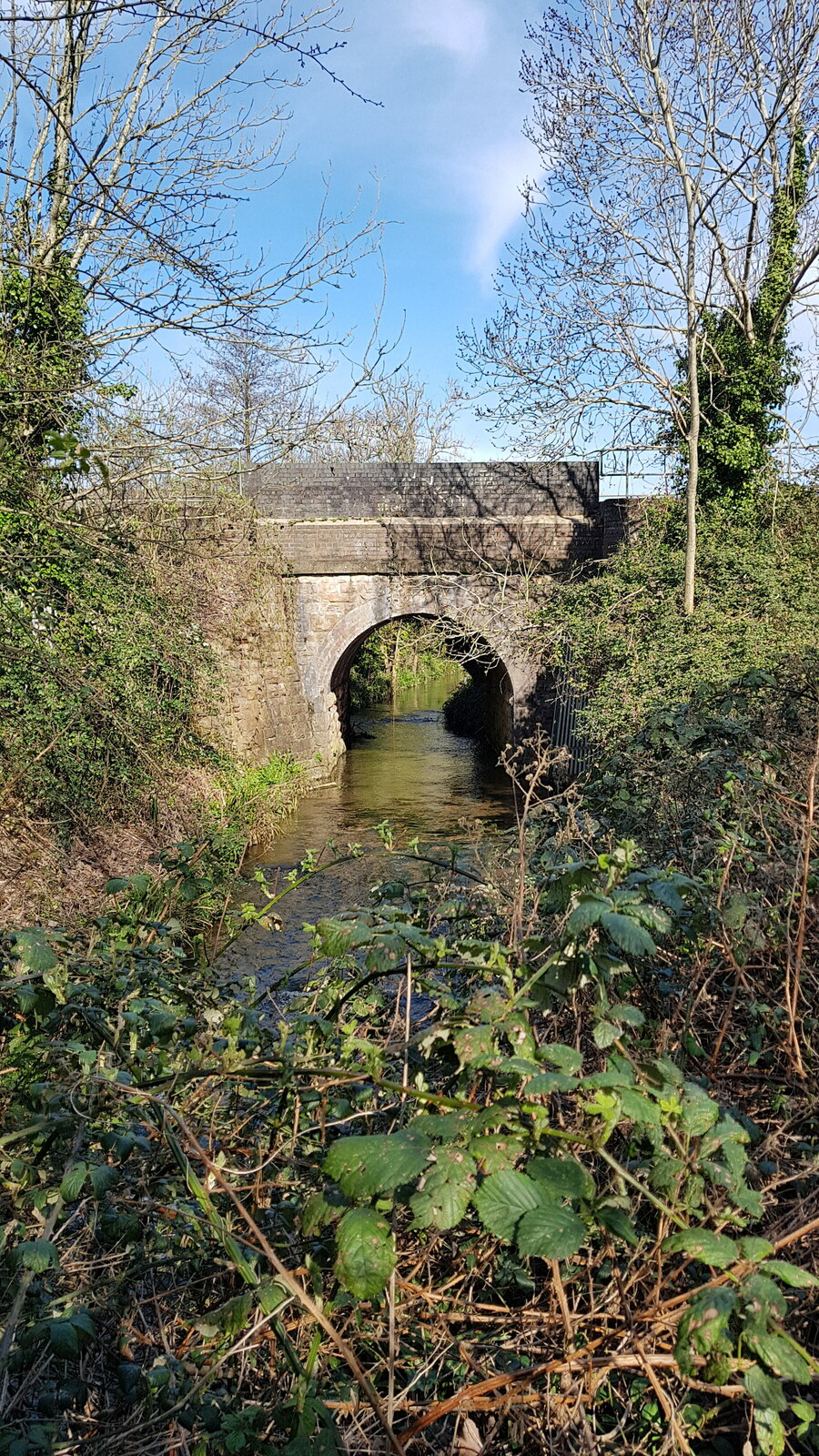 The Cadoxton River flowing under a stone railway bridge in Dinas Powys.