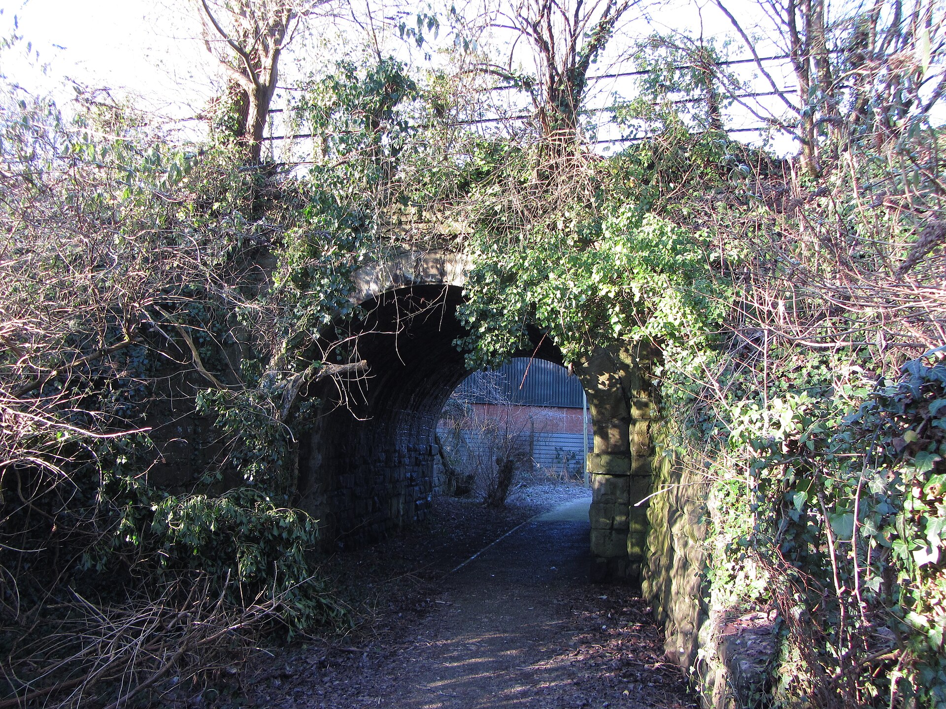 An ivy-covered stone bridge beneath a former railway line at Taffs Well.